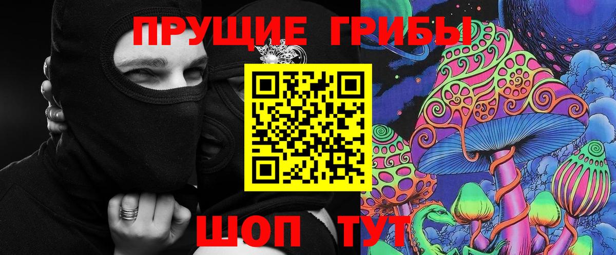 Галлюциногенные грибы Psilocybe Строитель