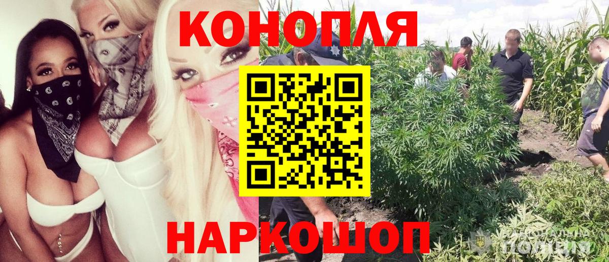 Строитель  МАРИХУАНА White Widow  Марихуана AK-47  МАРИХУАНА Bruce Banner  Вход с VPN 